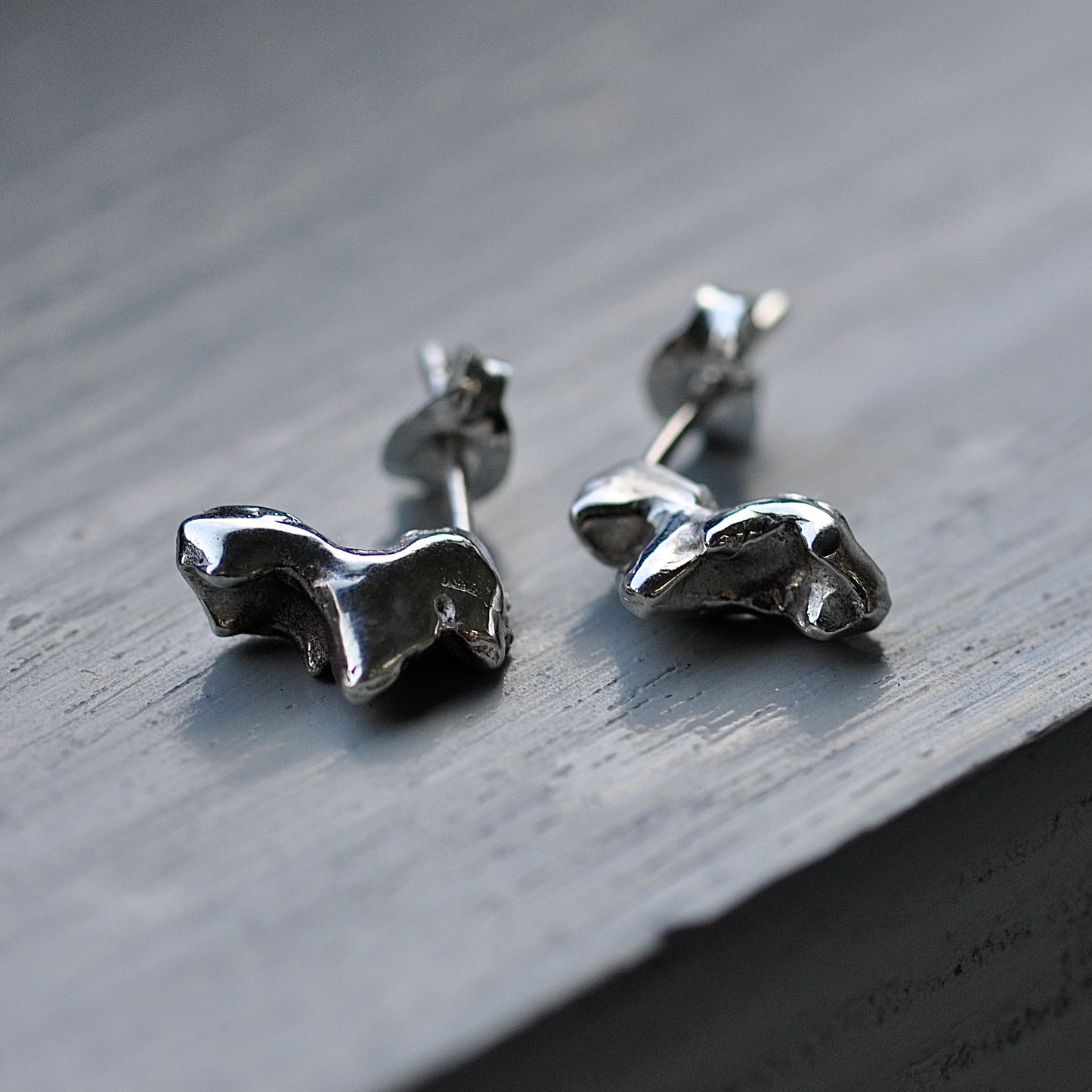 Puppy Molar Studs